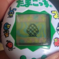 a photgraph of me holding my tamagotchi, the screen displaying an egg